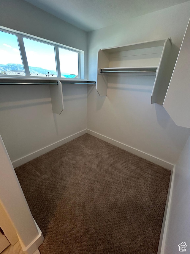 564 N 800 W, Smithfield, UT 84335 - spacious closet featuring carpet flooring