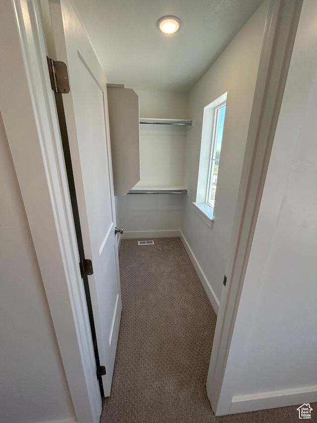 564 N 800 W, Smithfield, UT 84335 - walk in closet with carpet floors