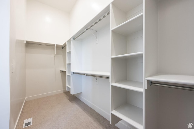 424 W Ascent Dr Unit 254, Hideout, UT 84036 - spacious closet with light carpet