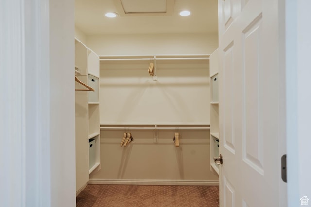 1628 E Lone Oak Dr, Draper, UT 84020 - walk in closet featuring carpet