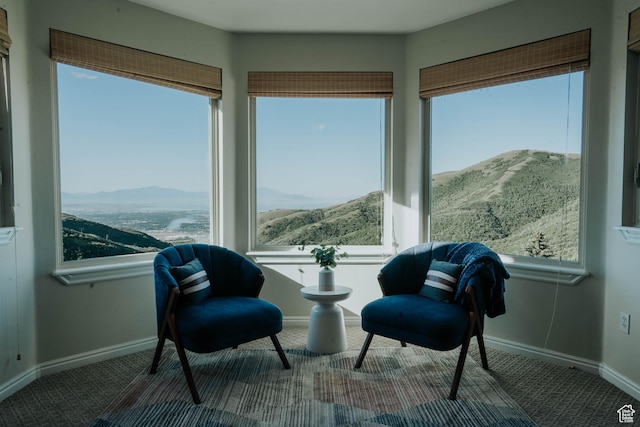 1628 E Lone Oak Dr, Draper, UT 84020 - living area with carpet floors and a mountain view