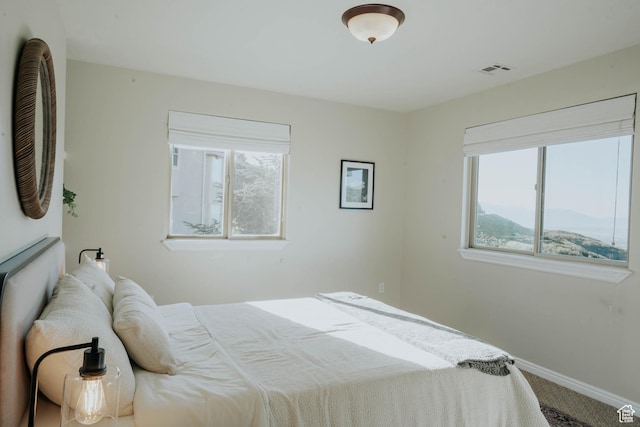 1628 E Lone Oak Dr, Draper, UT 84020 - bedroom featuring multiple windows and carpet flooring