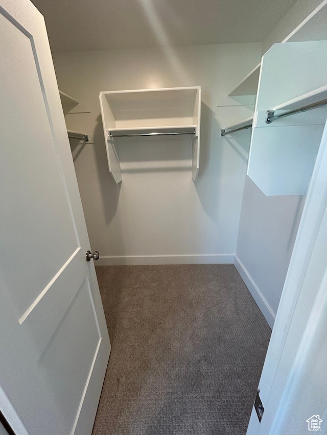 556 N 800 W, Smithfield, UT 84335 - spacious closet with carpet floors