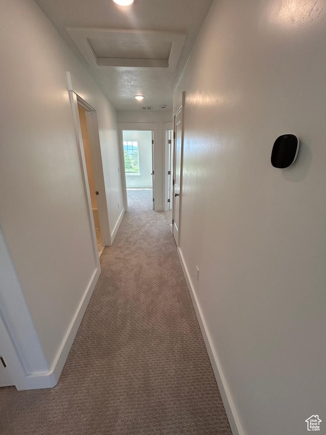 556 N 800 W, Smithfield, UT 84335 - corridor with light colored carpet and attic access