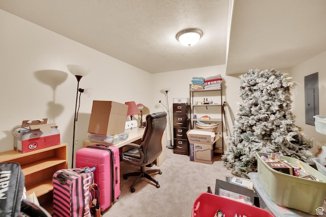 6438 S Mount Logan Way, Taylorsville, UT 84129 - photo 28