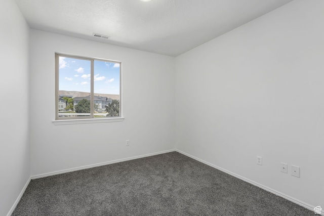 4004 N Shelter Cv W, Lehi, UT 84043 - empty room featuring dark colored carpet and a textured ceiling