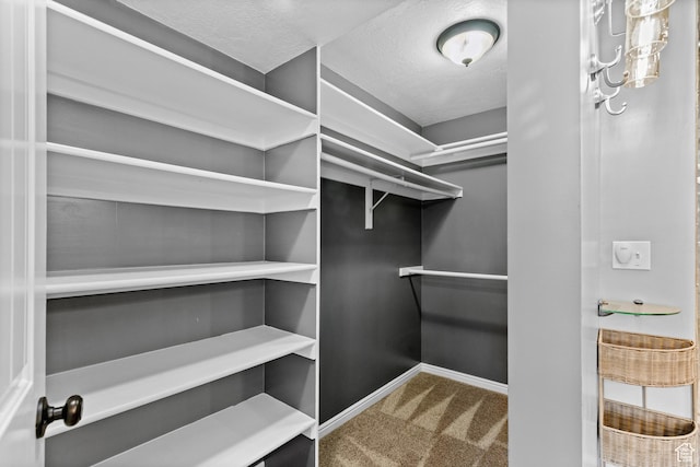 2124 W 7125 S, West Jordan, UT 84084 - spacious closet with carpet floors