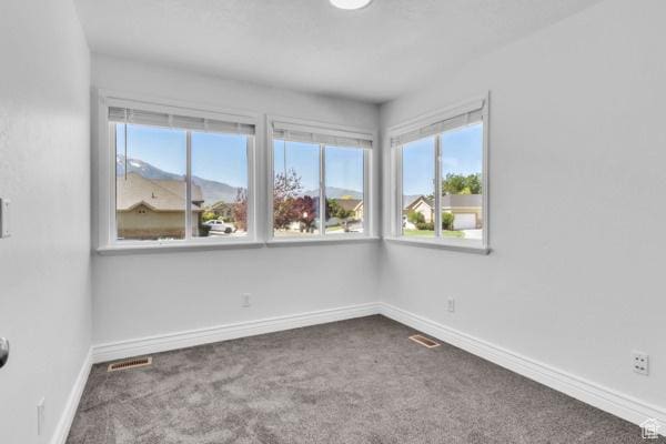 1342 S 1340 E, Spanish Fork, UT 84660 - carpeted spare room featuring baseboards