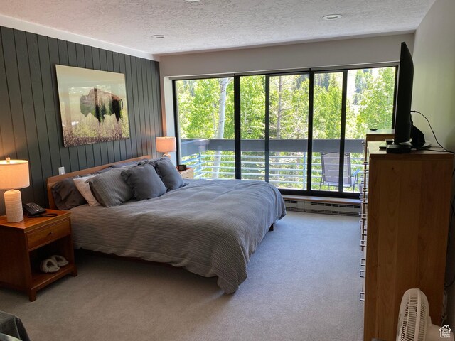 9202 E Lodge Dr Unit 201202, Snowbird, UT 84092 - carpeted bedroom featuring a baseboard radiator and a textured ceiling