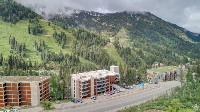 9202 E Lodge Dr Unit 201202, Snowbird, UT 84092 - mountain view