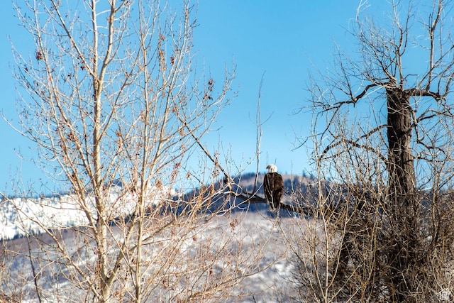 5916 E Backcountry Way Unit 370, Heber City, UT 84032