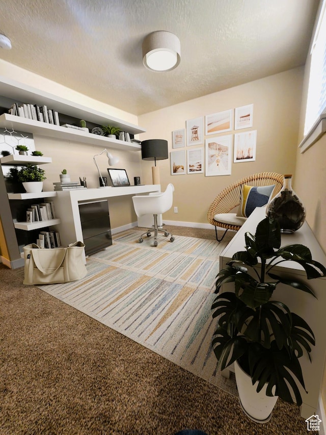 464 N Grant St, Salt Lake City, UT 84116 - office featuring carpet flooring and a textured ceiling