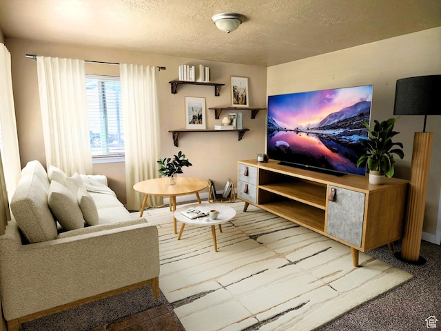 464 N Grant St, Salt Lake City, UT 84116 - living room with a textured ceiling