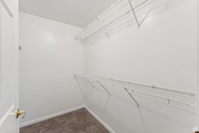 4732 W Villa View Dr Unit A, West Valley City, UT 84120 - walk in closet with dark colored carpet