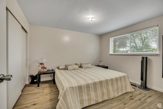 222 W Center St S, Midvale, UT 84047 - bedroom with light wood-style floors and a closet
