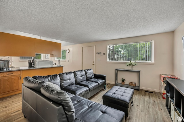 222 W Center St S, Midvale, UT 84047 - living room with a textured ceiling and light wood-style floors