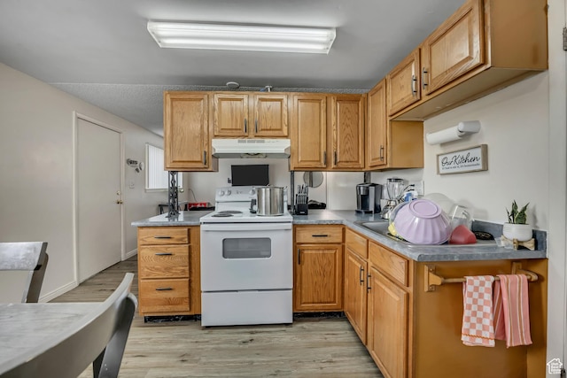 222 W Center St S, Midvale, UT 84047 - kitchen featuring electric range, under cabinet range hood, and light wood-style flooring