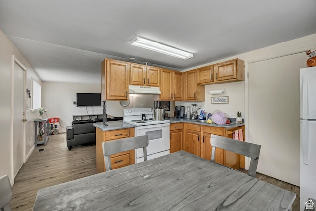 222 W Center St S, Midvale, UT 84047 - kitchen with white appliances, under cabinet range hood, light wood finished floors, and light countertops