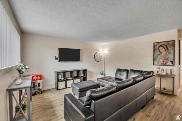 222 W Center St S, Midvale, UT 84047 - living room with a textured ceiling and light wood finished floors