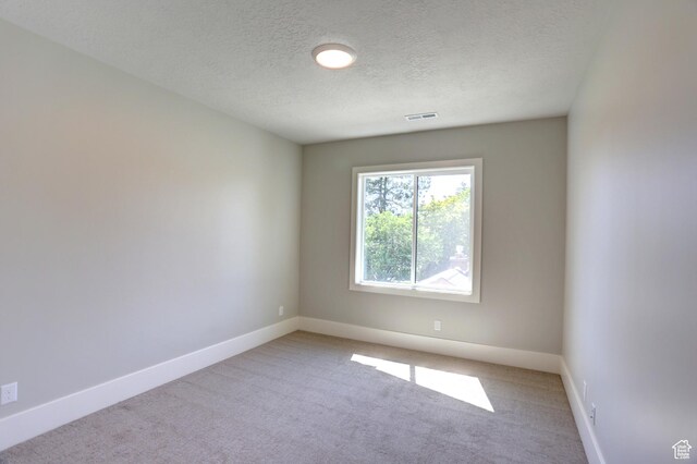 435 E Maple St, Mapleton, UT 84664 - spare room featuring carpet and a textured ceiling