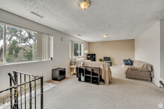 733 E Linden Ave, Salt Lake City, UT 84102 - carpeted living area featuring plenty of natural light and a textured ceiling
