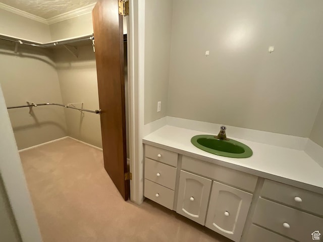3696 N 475 E, North Ogden, UT 84414 - bathroom with crown molding, vanity, and a spacious closet