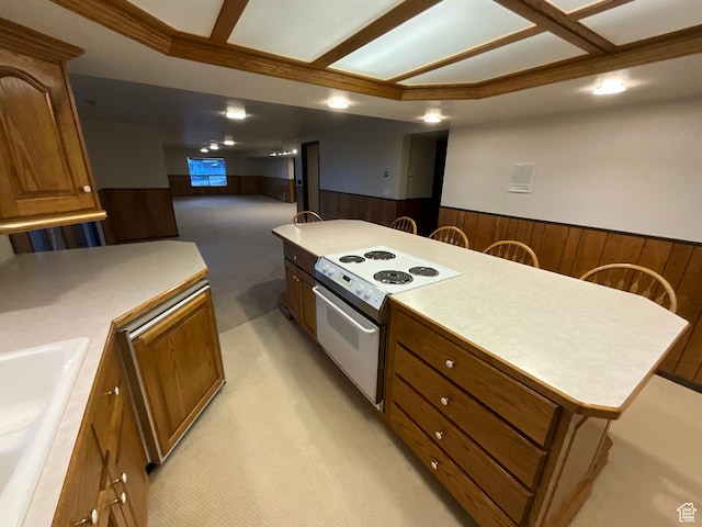 3696 N 475 E, North Ogden, UT 84414 - kitchen with electric range, light carpet, a wainscoted wall, wood walls, and light countertops