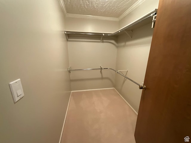 3696 N 475 E, North Ogden, UT 84414 - spacious closet with carpet floors