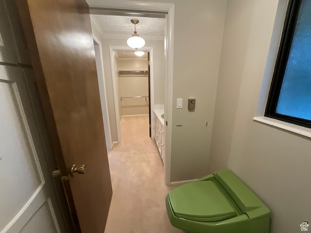 3696 N 475 E, North Ogden, UT 84414 - hallway featuring light carpet and ornamental molding
