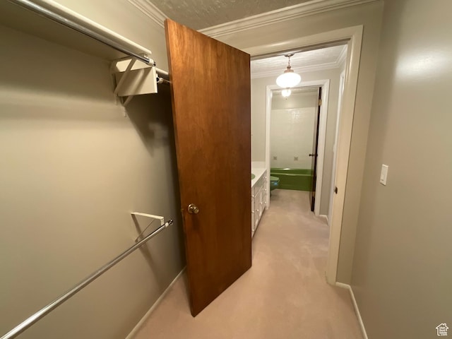 3696 N 475 E, North Ogden, UT 84414 - corridor featuring ornamental molding and light carpet