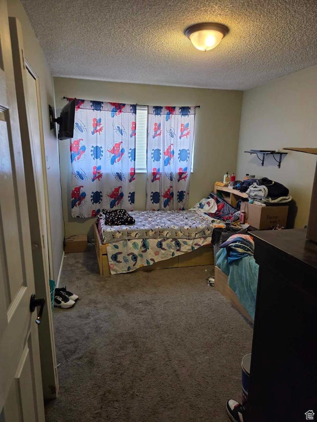 3947 W Ridgeview Way, Taylorsville, UT 84118 - bedroom with a textured ceiling and carpet floors