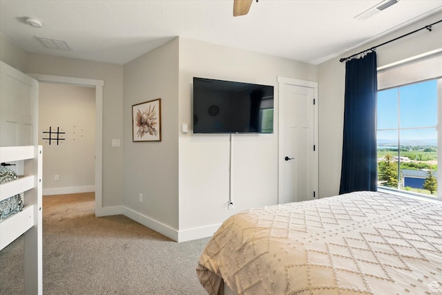689 W Dee Dr, Garden City, UT 84028 - bedroom featuring carpet floors and ceiling fan