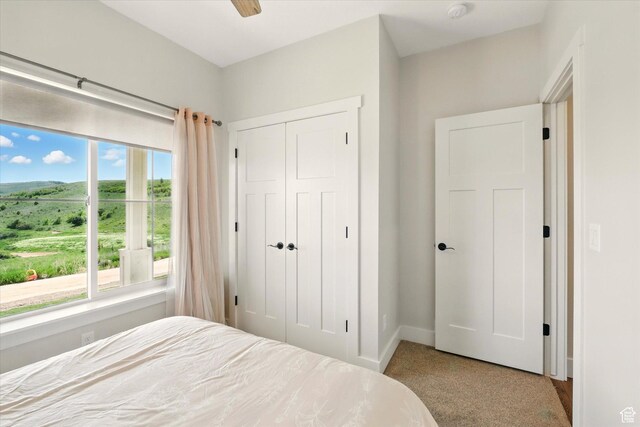 689 W Dee Dr, Garden City, UT 84028 - bedroom featuring a closet and carpet