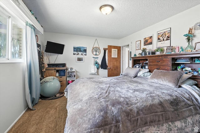 572 W 300 N, Hyrum, UT 84319 - carpeted bedroom with a textured ceiling