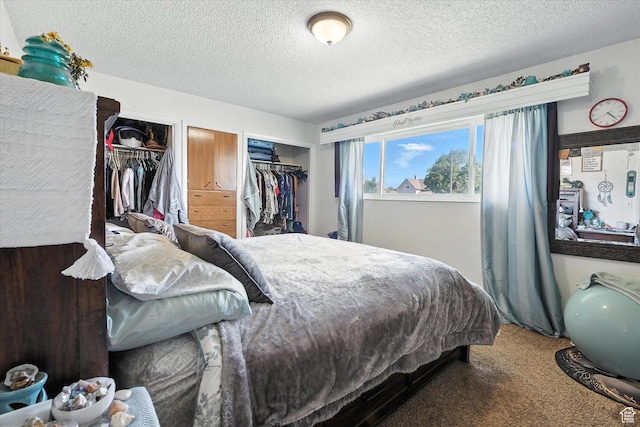 572 W 300 N, Hyrum, UT 84319 - bedroom featuring carpet floors, a textured ceiling, and multiple closets