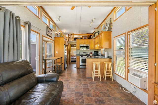 2125 E Elk Meadow Cir, Kamas, UT 84036 - kitchen with appliances with stainless steel finishes, open floor plan, and healthy amount of natural light