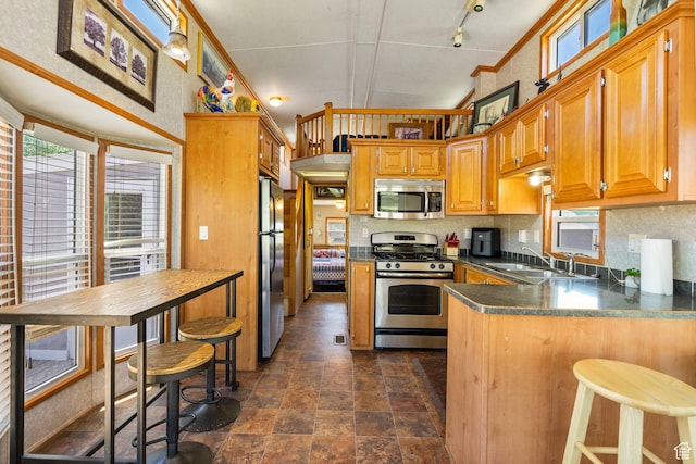 2125 E Elk Meadow Cir, Kamas, UT 84036 - kitchen featuring appliances with stainless steel finishes, crown molding, dark countertops, dark stone finish flooring, and a peninsula