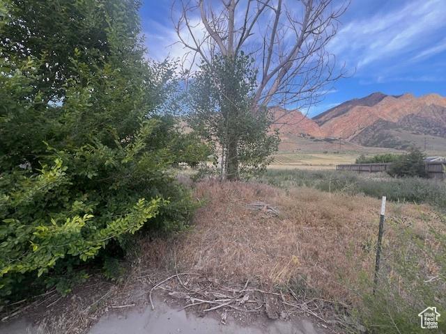 720 N Main St, Willard, UT 84340 - photo 25