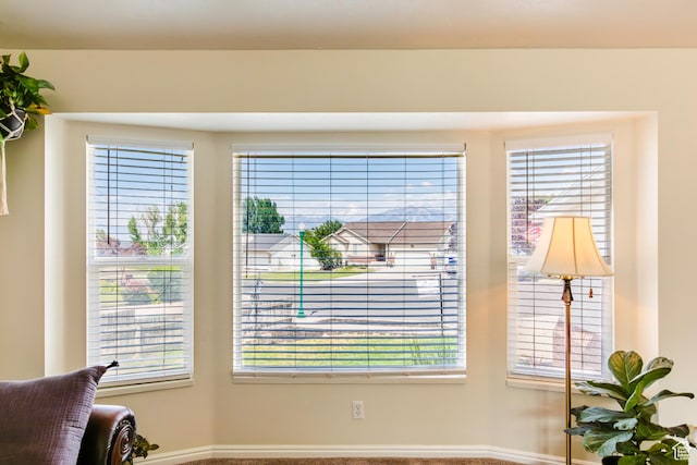 14048 S Van Cott Peak Cir W, Riverton, UT 84096 - detailed view of baseboards
