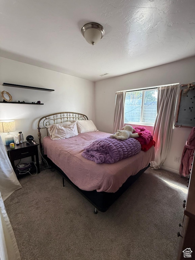 14048 S Van Cott Peak Cir W, Riverton, UT 84096 - view of carpeted bedroom