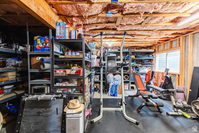 14048 S Van Cott Peak Cir W, Riverton, UT 84096 - view of storage