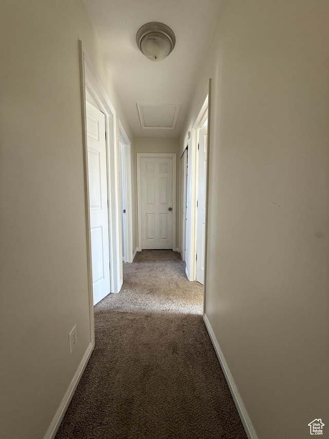 14048 S Van Cott Peak Cir W, Riverton, UT 84096 - hallway featuring carpet floors and baseboards