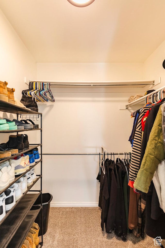 14048 S Van Cott Peak Cir W, Riverton, UT 84096 - walk in closet featuring carpet flooring