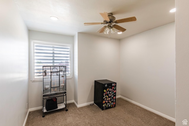 14048 S Van Cott Peak Cir W, Riverton, UT 84096 - misc room with carpet and ceiling fan