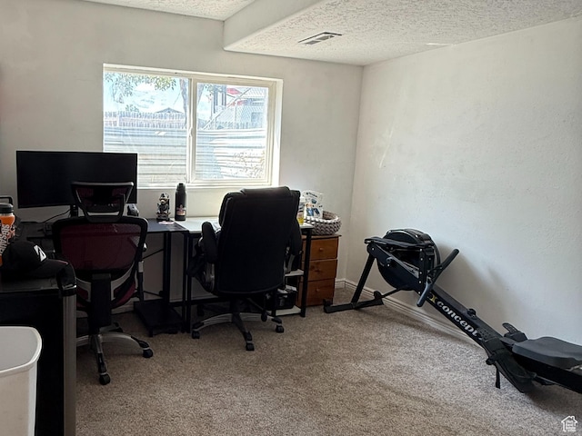 14048 S Van Cott Peak Cir W, Riverton, UT 84096 - office area with carpet and a textured ceiling