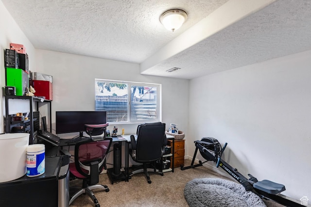 14048 S Van Cott Peak Cir W, Riverton, UT 84096 - carpeted office space with a textured ceiling