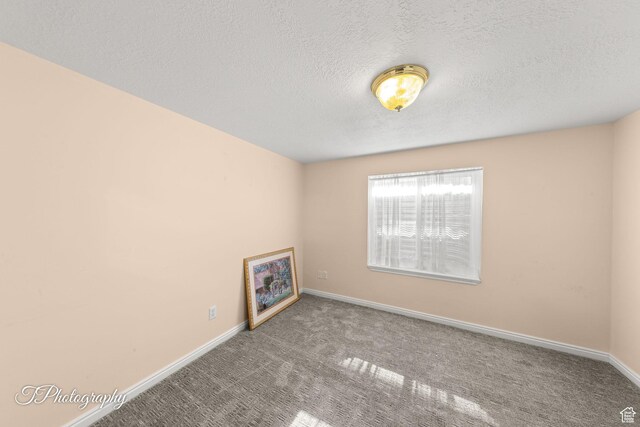180 N 1100 E Unit 190, Washington, UT 84780 - empty room with carpet floors and a textured ceiling