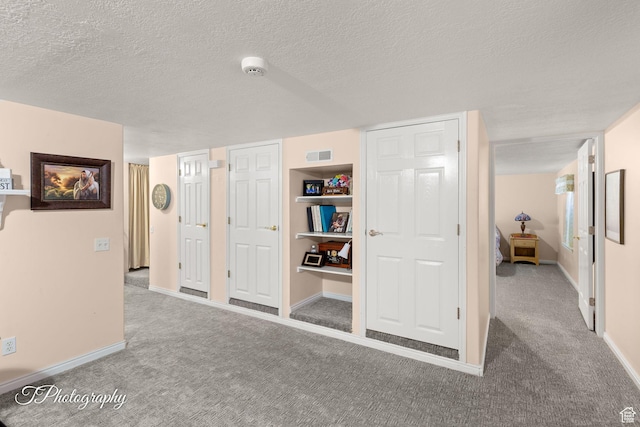 180 N 1100 E Unit 190, Washington, UT 84780 - hallway featuring carpet floors and a textured ceiling