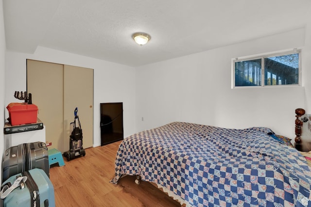 45 W 900 S, Layton, UT 84041 - bedroom with light wood-style flooring and a closet