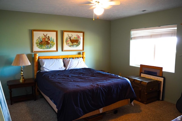 11495 E 16000 N, Mount Pleasant, UT 84647 - carpeted bedroom featuring a textured ceiling